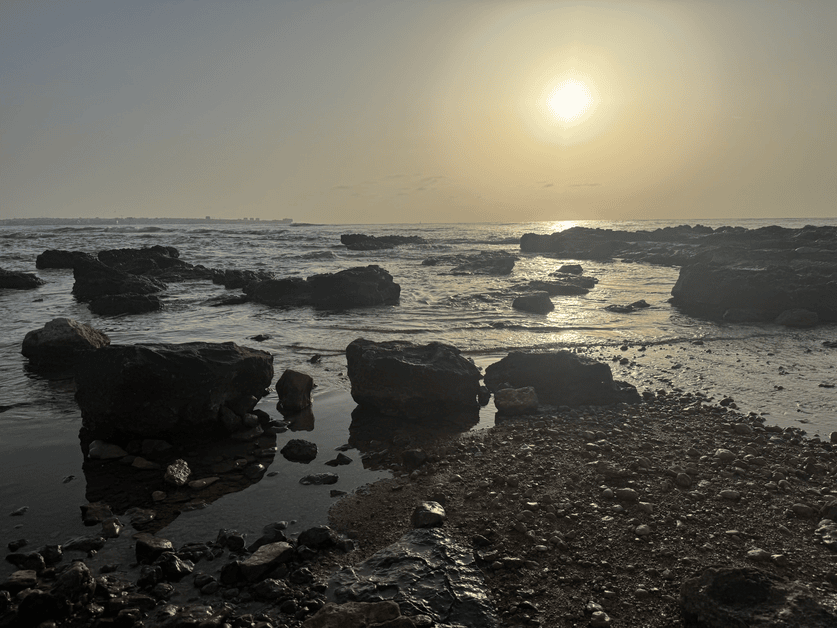 18th Microsoft Most Valuable Professional Award